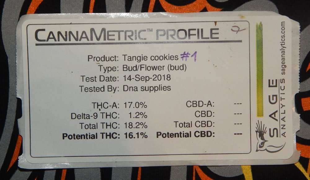 Analyse THC TC#1 Irun 09.2018    (culture à 36°C l été).JPG