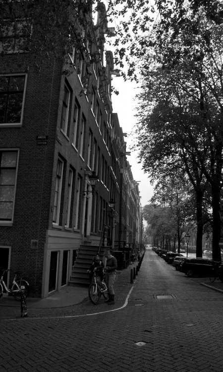 amsterdam daylight walk_1.jpg