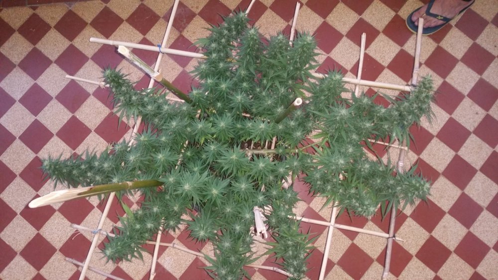 20180824_180919.jpg