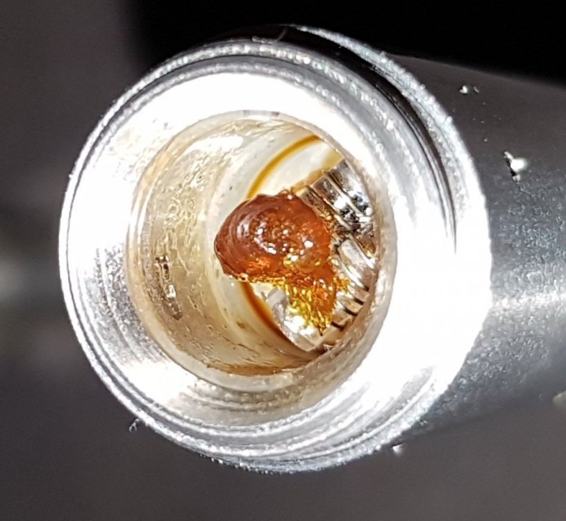 20180830_153727.thumb.jpg.b255e469dc170ed7ea186f81c061848d.jpg