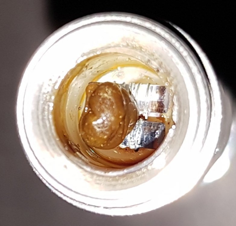 20180830_190930.thumb.jpg.465d2480c5979d63bb83e53716c3ed6e.jpg