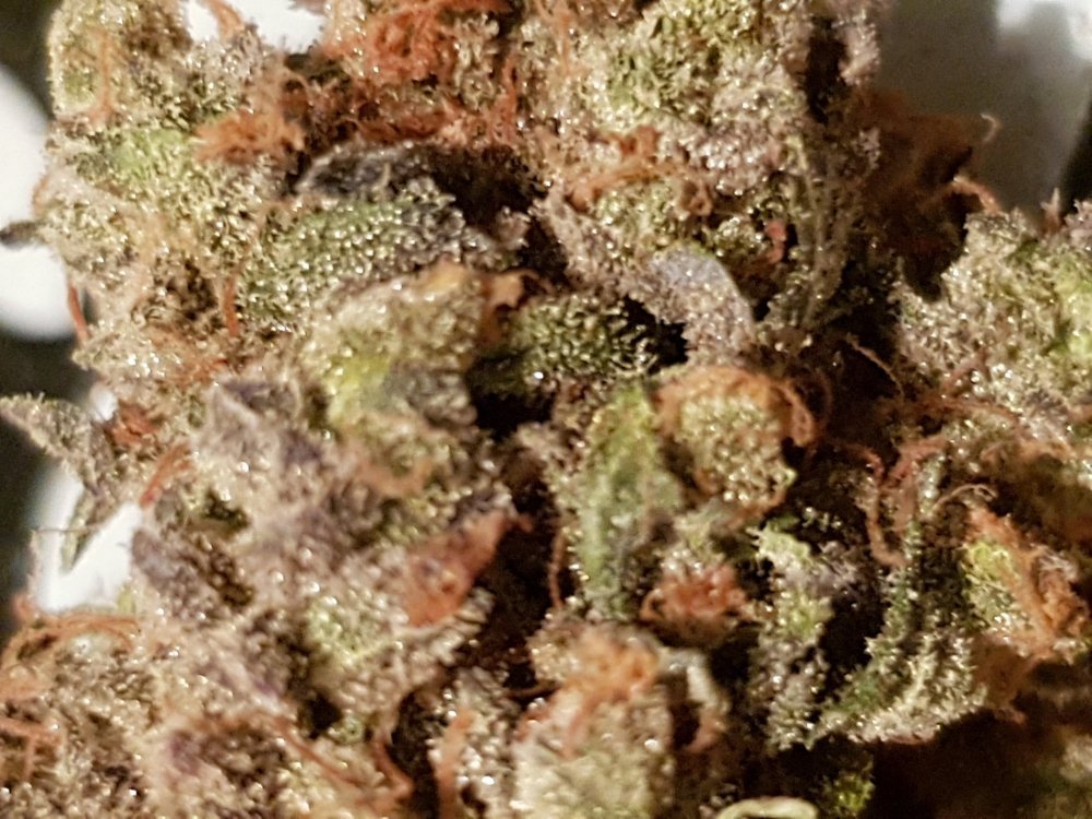 20180923_220813.jpg