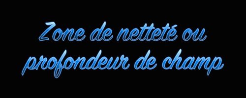 nettetét.jpg