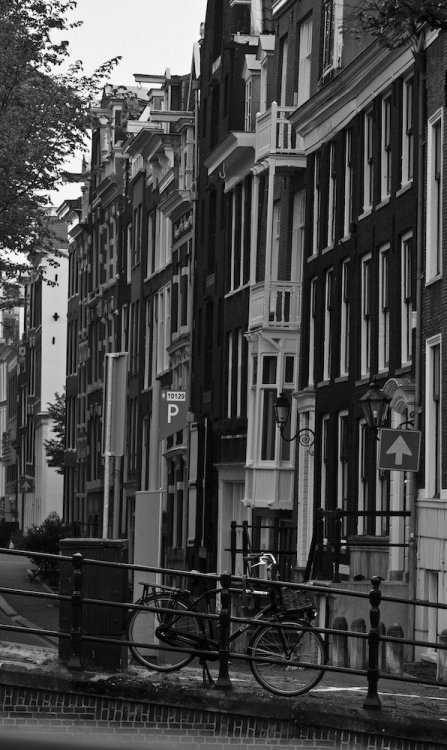 velo amsterdam day_1.jpg