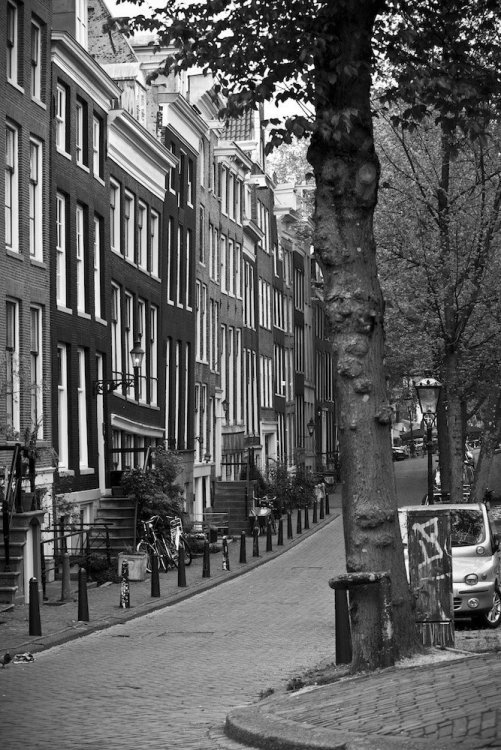 velo amsterdam day_2.jpg