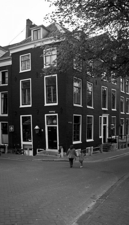 amsterdam daylight regulieer.jpg