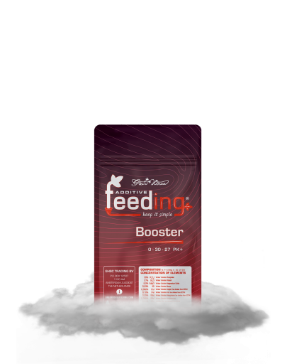 CLOUD_Booster_125gr_f.png