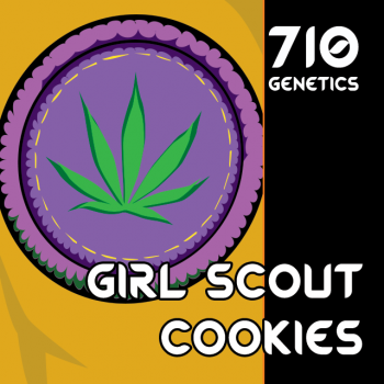 Girl Scout Cookies (710 gen)