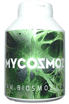 MycosmoZ-mycorhize-pour-plante-2.png