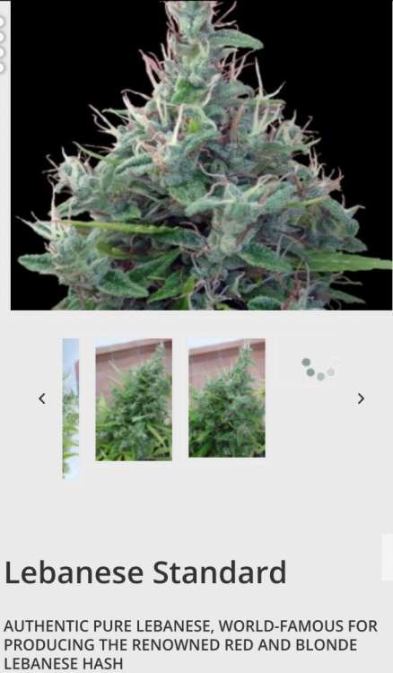 Screenshot_2018-09-06-14-06-57-1.thumb.png.070738a32a8aed670100b58f26f5203a.png