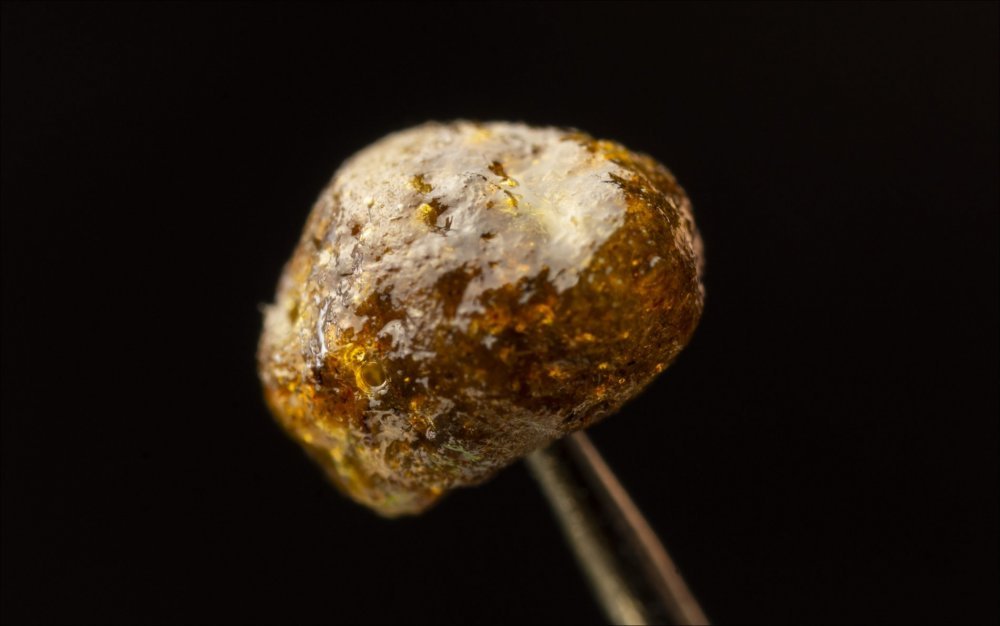 bubble1cw.jpg