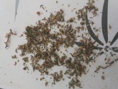 20180924_104717.jpg