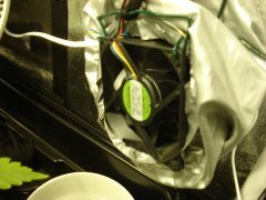 DSC06443.JPG