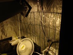 DSC06444.JPG