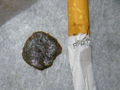 cissors hash