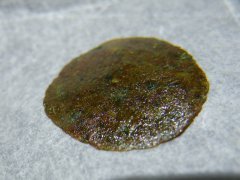 cissors hash skunk#1