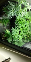 IMG-20180928-WA0000