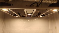 IMG_20180901_071633883_cleaned.jpg