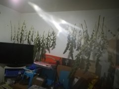 IMG_20180909_001332