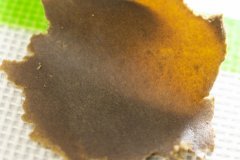 Sour tangie 25 micron