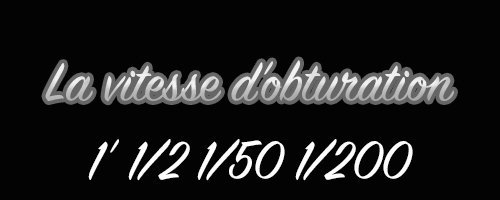 vitesse.jpg