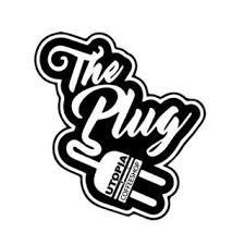 the plug.jpg