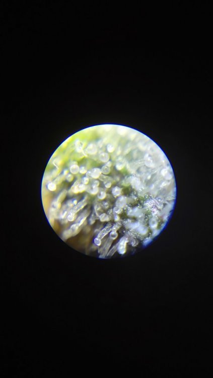 2.2.thumb.jpg.c8a09e5d2d8426022217bc08f773cfe0.jpg