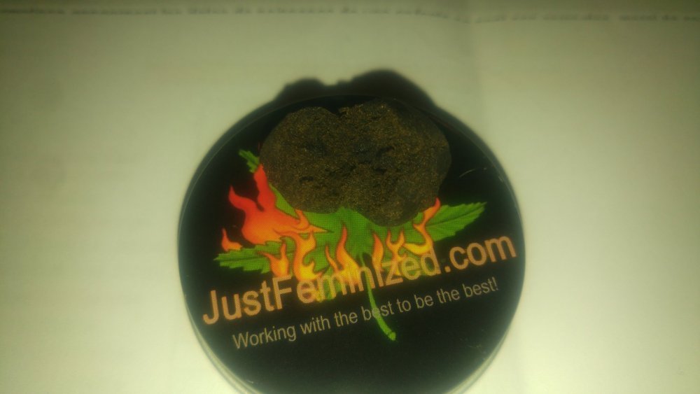 20181030_203636.jpg