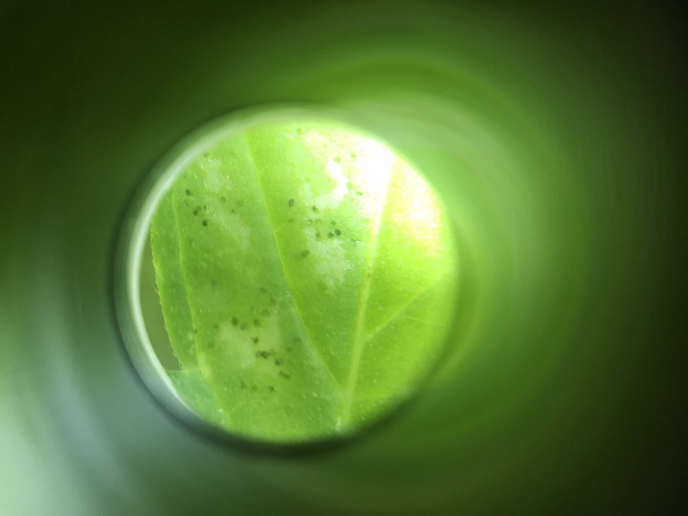 3615EA08-D663-4613-99D7-75AA943B4DF9.jpeg