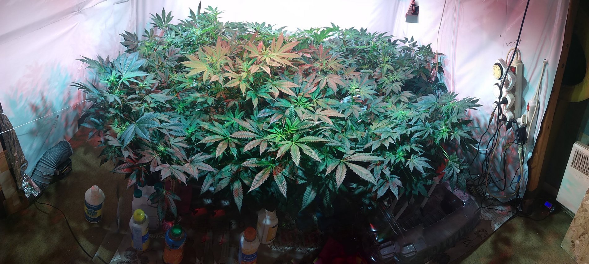 PANO_20181028_085304.jpg