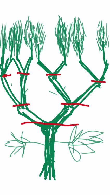 sketch-1538653327005.thumb.png.2c31bc97eb697bc891c8d55ed1153655.png