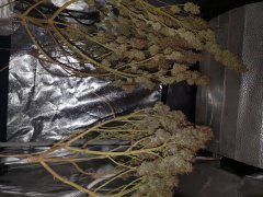 20181001_074413.jpg