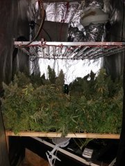 20181001_095918.jpg