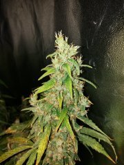 20181001_104228.jpg