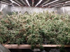 20181007_085543.jpg