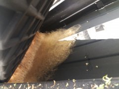 20181008_111824.jpg