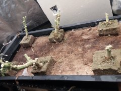 20181008_111828.jpg
