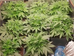 20181015_073736.jpg
