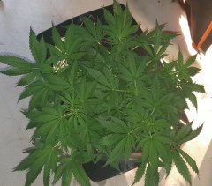 20181024_135055.jpg