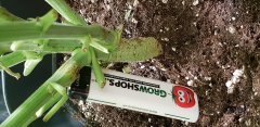 20181026_141107.jpg
