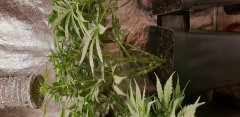 20181027_135949.jpg