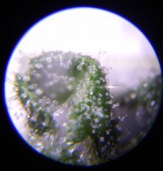 IMG_20181011_184520902~2.jpg