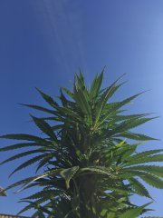 IMG_0641.JPG