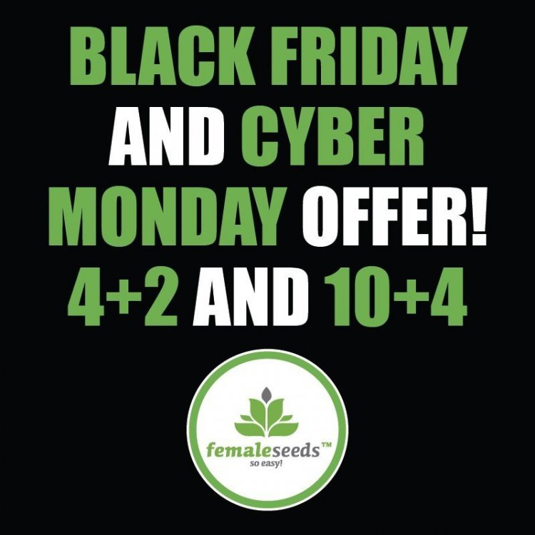 Black Friday promo PostForums 800x800.jpg