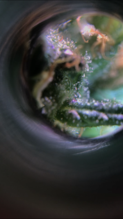 1C6F3747-C88E-462B-8EEF-9E97611F2C03.png