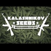 Kalashnikov Seeds