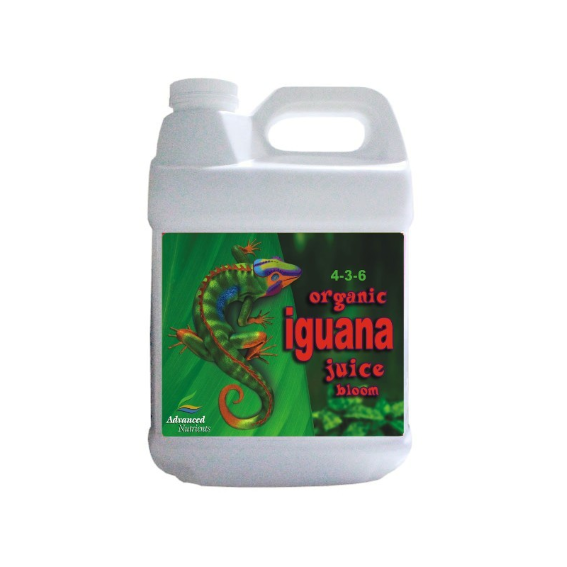 Iguana Juice