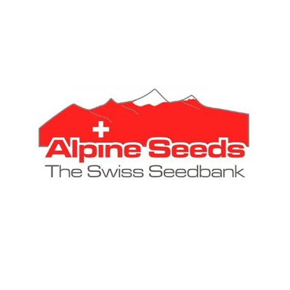 Alpine Seeds