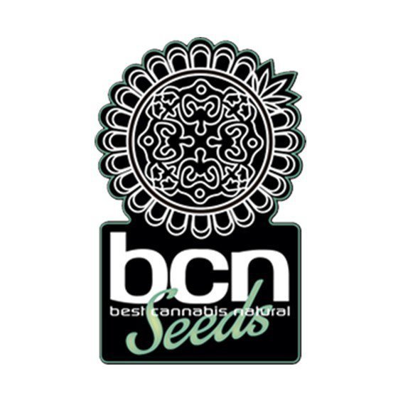 BCN Seeds