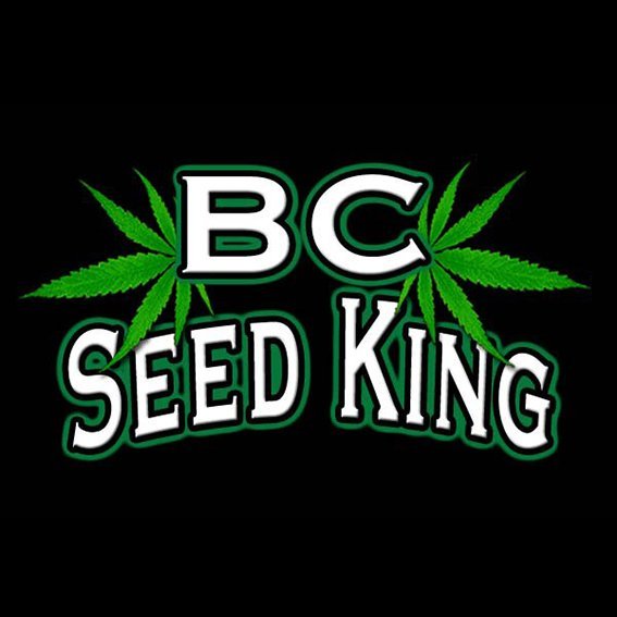 BC Seed King